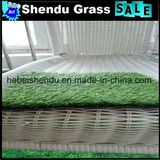 Home Indoor Using Artificial Grass Carpet 25mm Green Carpet