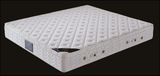 Popular Hot Sell Spring Mattress for Hotel (B305)