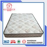 8 Inches Tight Top Pocket Spring Mattress