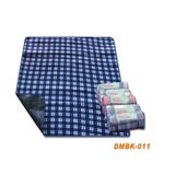 Picnic Mat Outdoors Mat Picnic Blanket