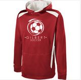 Custom Cotton/Polyester Printed Hoodies Sweatshirt of Fleece Terry (F069)