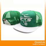 100% acrylic 3D Embooidery Snapback Cap