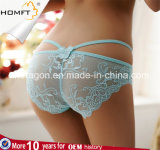 Hot Hollowed-out Butterfly Bow Lace Ladies Transparent Panties Triangle Lingerie