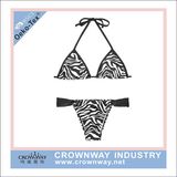 Two Piece Women Hot Sexy Bikini Swimwear with Leopard Printing