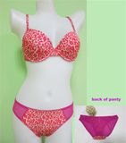 Leopard Print Push up Underwear Bra Set (EPB125)