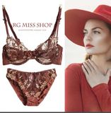 Classic Push up Bra and Panty for Sexy Ladies (FPY325)