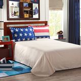 Latest Design Printed Cotton Bed Sheet