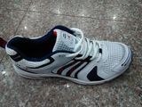 Branded Sport Shoes, Sneaker, Running Shoes