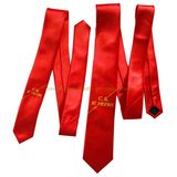 Customized Logo Printed Fashion Student Uniform Tie