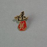 Enamel Lapel Pin, Irregular Shape Badge (GZHY-LP-014)