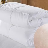 Excellente Spesso Home/Hotel Textiles Duvet Quilt (DPF1083)