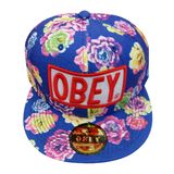 Popular Custom Hat with Logo Sk1606