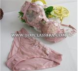 Hot Sales Transparent Bra and Panty for Sexy Lady (FYB1015)