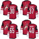 Arizona Coyotes Marek Langhamer Kyle Wood Pierre-Olivier Joseph Hockey Jerseys