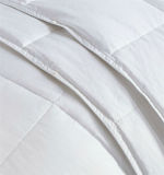 Fashion Comfortable Polyester Microfiber Filling Quilting Comforter (EA-22)