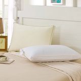 Soft White Goose Down Feather Filled Pillows