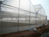 The Best and Cheapest 100% Virgin HDPE Anti UV Insect Net