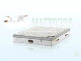 Modern Bedroom Furniture, Nice Design Bed Mattress (LS-1)