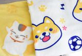 Lovely Pet Product Thicken Comfortable Coral Fleece Mat / Air Conditioning Cat Dog Blanket