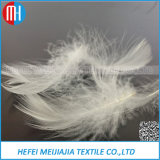 High Quality Goose or Duck Feather for Sail