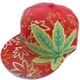 Snapback Baseball Cap with Custom Logo 0001