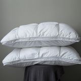Cotton Cover Duck Down Gusset Pillow