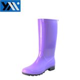 Hotsale New Design Ladies Wellington Boot Women Rain Boots