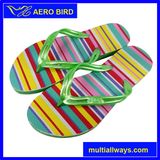 Colorful Hot PE Fashion Slipper for Women (MT14010-Green)