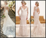 Dots Tulle Bridal Gown Long Sleeves Lace Sheath Wedding Dress D1950