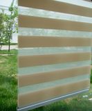 Zebra Blind Different Color Roller Curtains