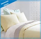 Lemonade Solid Premier 300tc Cotton Bedsheet Set