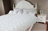 Super Soft Lamb Wool Quilt for Good Sleeping