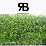 35mm Landscaping Garden Decoration Carpet Lawn Artificial Turf Synthetic Grass