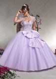 2015 Ball Gowns Quinceanera Dresses (QG003)