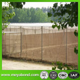 50mesh Green Vegetable Plants Anti Insect Net Anti Aphid Net Insect Proof Net for Greenhouse