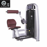 Pin Loaded Lower Back Machine Sm8005 Gym Fitness Equipment