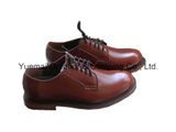 Army High Quality Office Shoes with Good Price