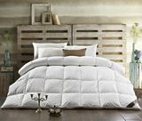 Twin Size 75% Grey Duck Down Comforter