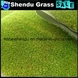 Grass Carpet 35mm with Economic Price for Middle East Market
