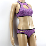2014 Latest Neoprene Two Pieces Swimming Suit for Women