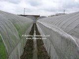 Agricultural 50 Mesh Greenhouse Anti Insect Net