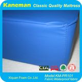 Waterproof Memory Foam Mattress for Nursing Home, Prison, Hospital (KM-PR101)