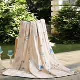 Summer Elegance Hotsale Oeko Tex-100 Quality 100% Mulberry Silk Blanket Silk Blanket