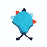 POM POM Hat Beanie Hat Jacquard Hat Knitted Hat