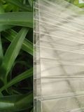 Anti-UV Triple-Wall Polycarbonate Sheet Hollow Sheet