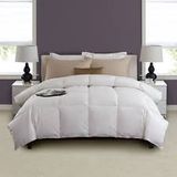 Hotel Bed Sheet Cotton Comforter and Cosy