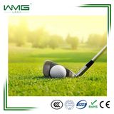 Carpet Grass Price for Golf Field