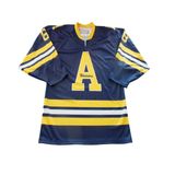 Custom Printing Ice Hockey Team Jersey with Numbers