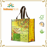 Best Sell Non Woven Bag/PP Non Woven Bag/Non Woven Laminated Shopper Bag