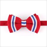 Classic Polyester Knitted Men's Bow Tie (YWZJ 49)